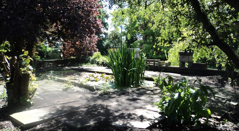 Photo of one of the ponds in the Back Garden